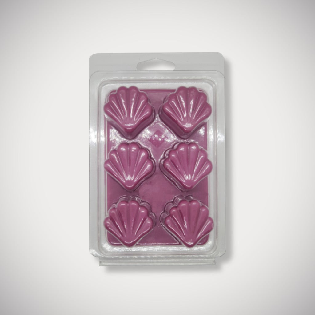 Seashell Shape 6 Cavity Clamshell