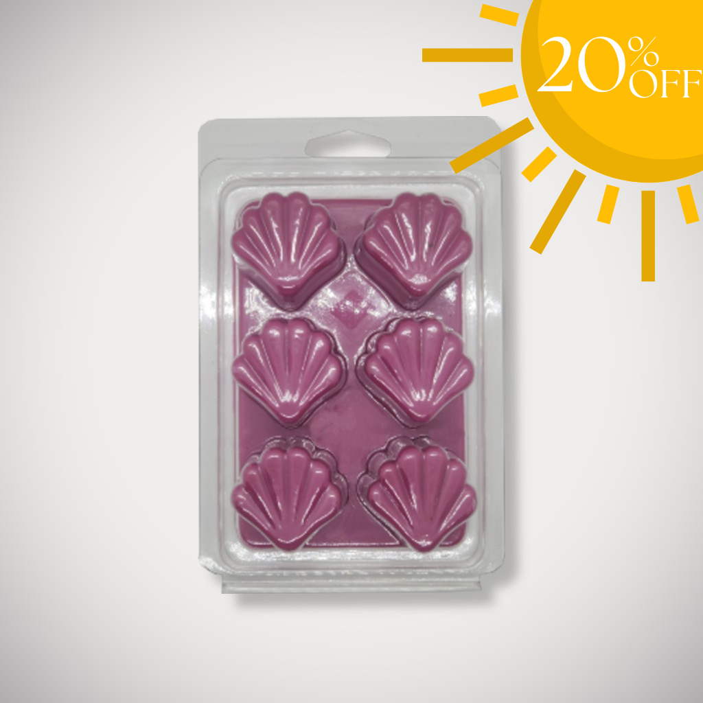 Seashell Shape 6 Cavity Clamshell