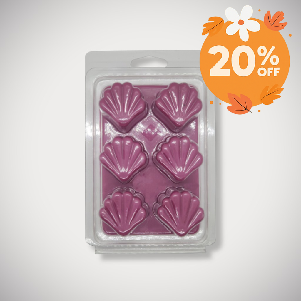 Seashell Shape 6 Cavity Clamshell